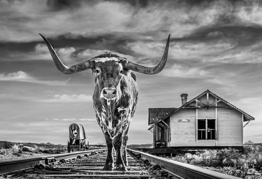 The End of the Line