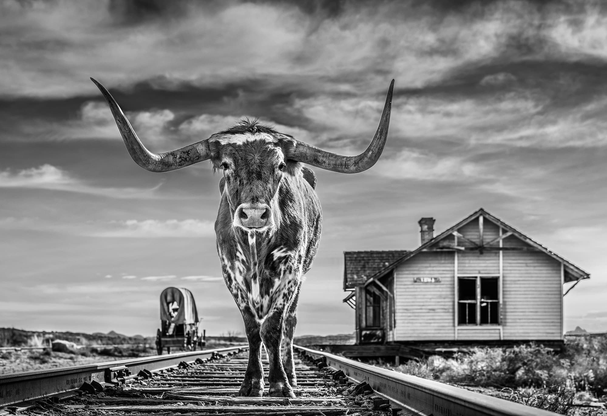 "The End of the Line" by David Yarrow, Marfa, Texas, 2020. Black and white photograph.