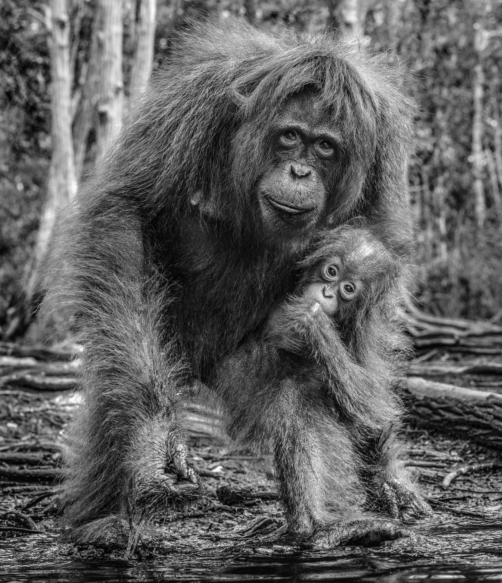 "The House of Orange" by David Yarrow. Black and white photograph.