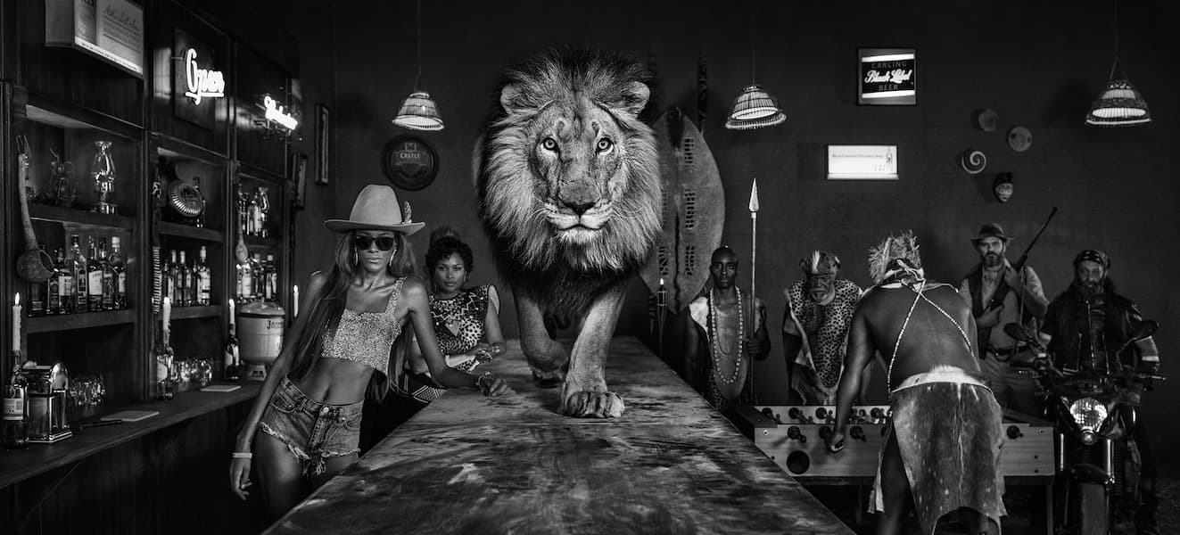 The Lion’s Den