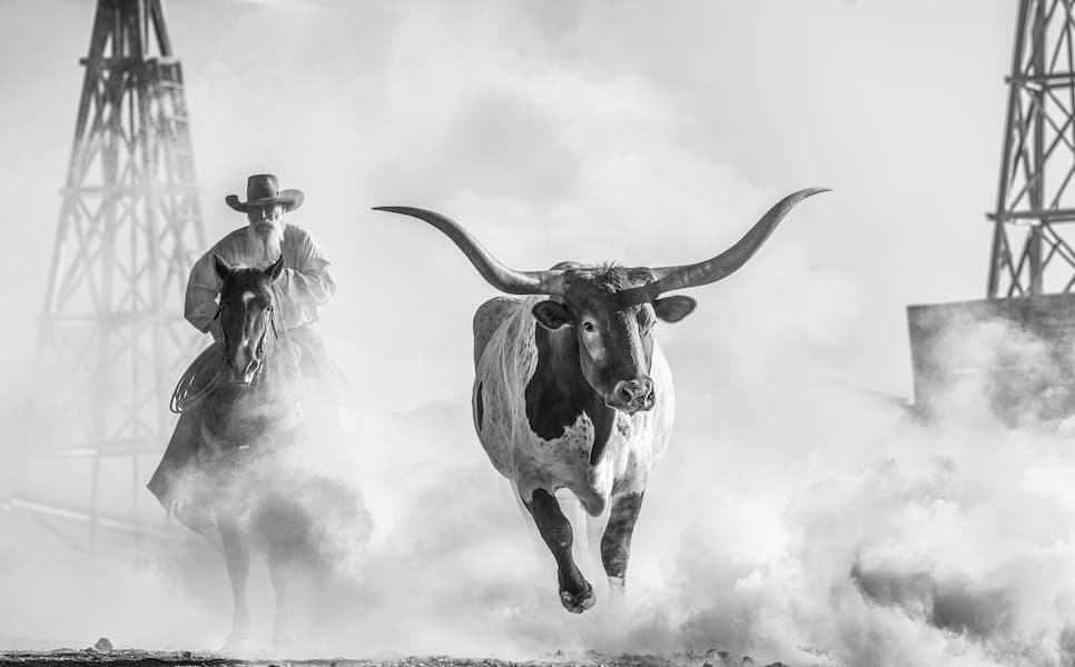 The Lone Star State (B&W)