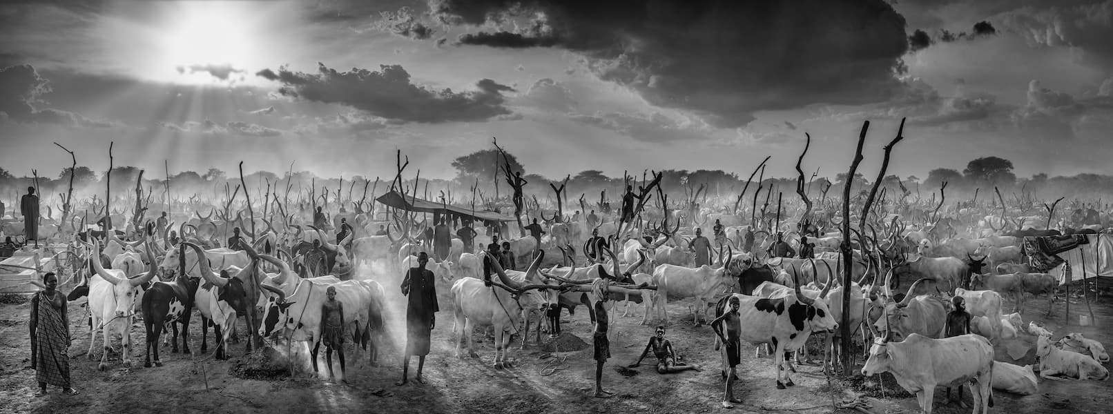 The New Testament (B&W)