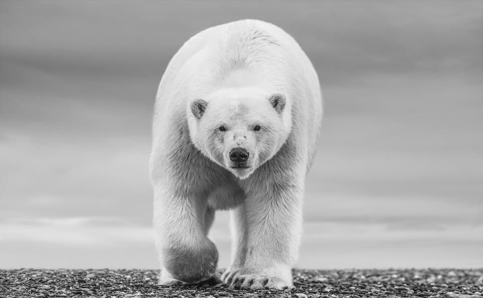 The North Slope