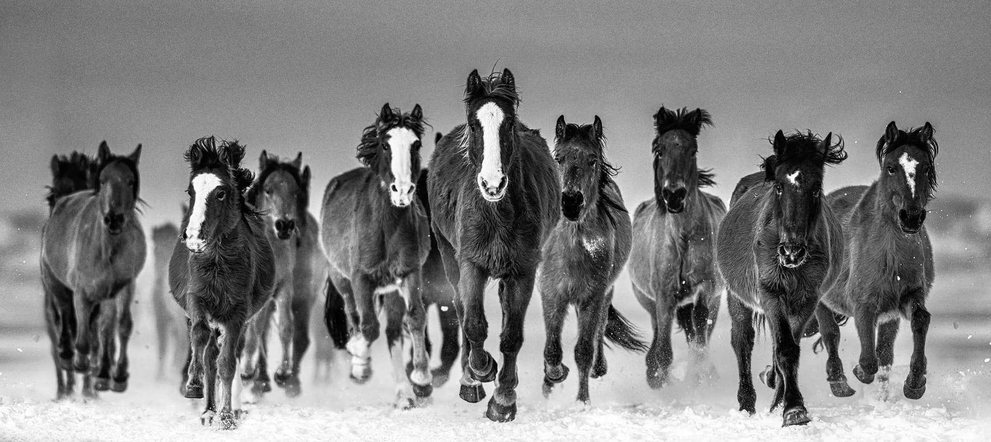 "The Rolling Stones" by David Yarrow, Wells, Nevada, 2023. Black and white photograph.