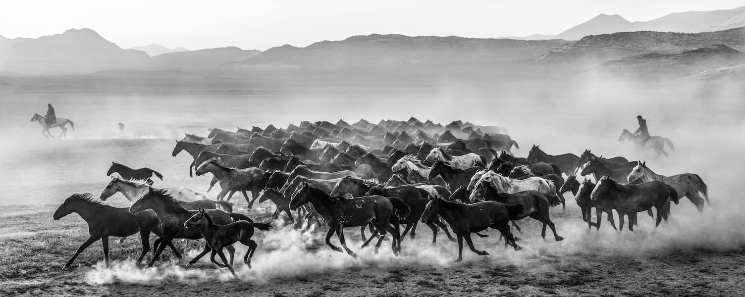 The Unit (B&W)