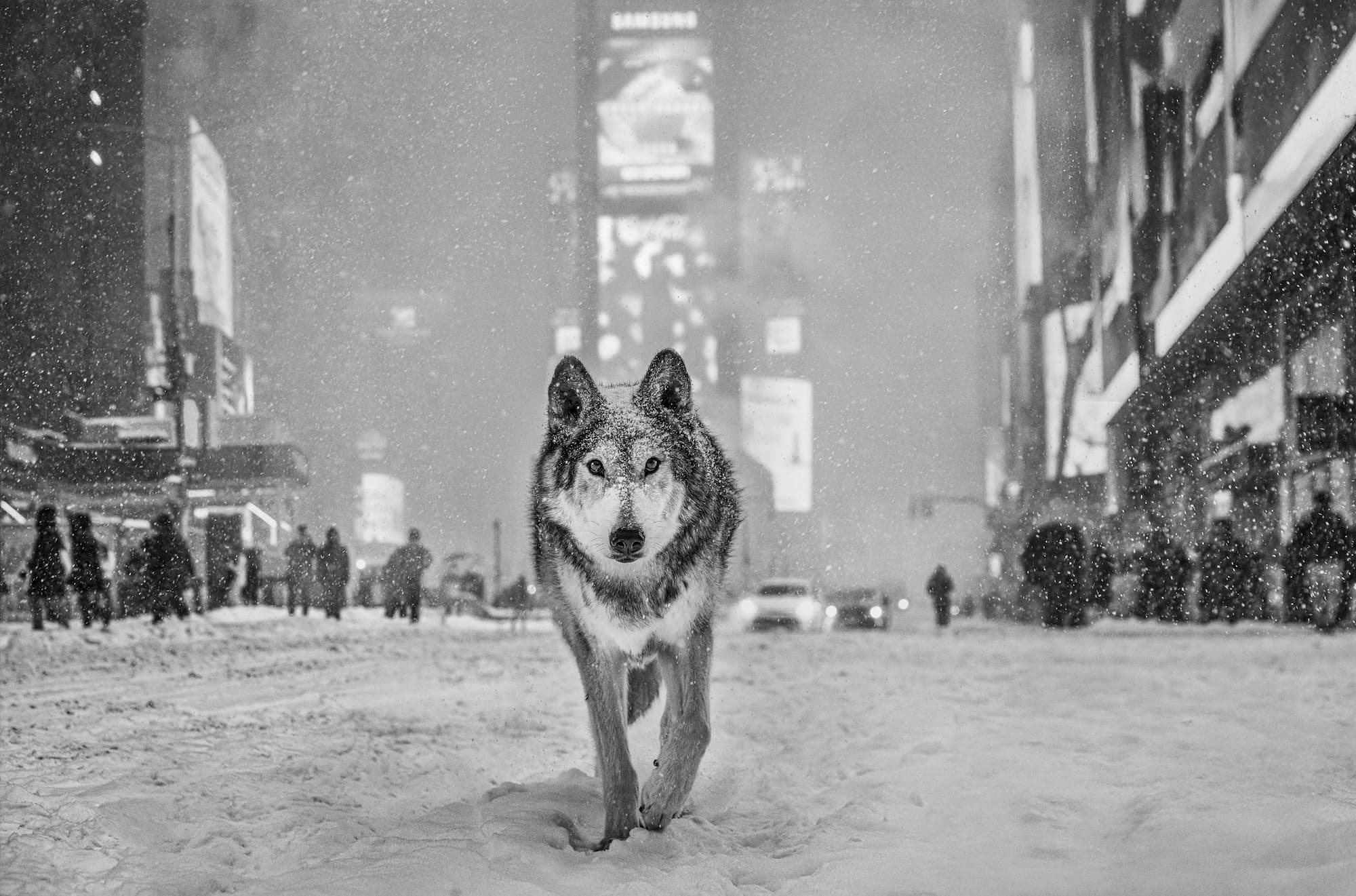 "Times Square" by David Yarrow, Manhattan, New York, 2026. Black and white photograph.