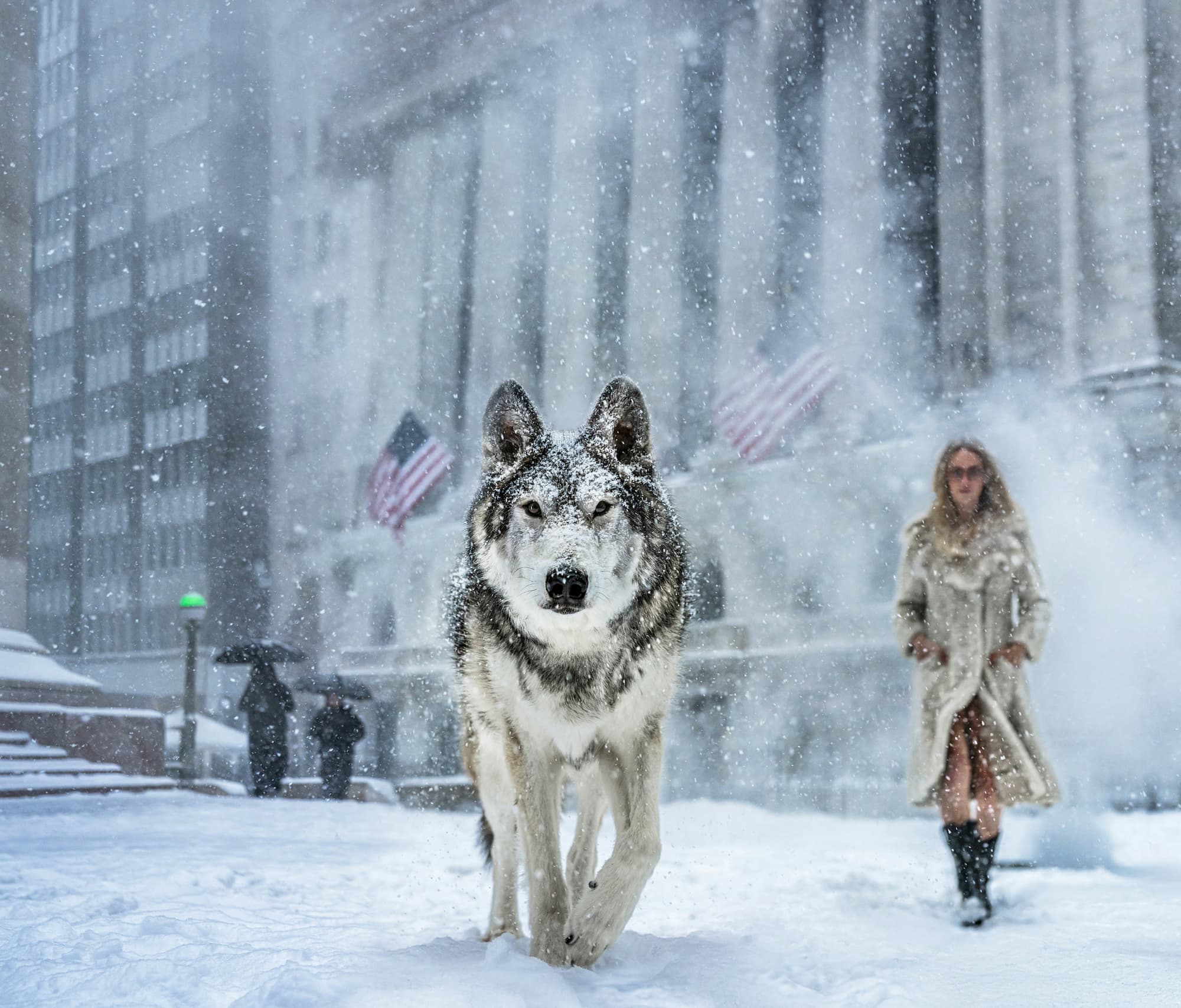 "Wall Street Stories" by David Yarrow, Manhattan, New York, 2026. Colour photograph.