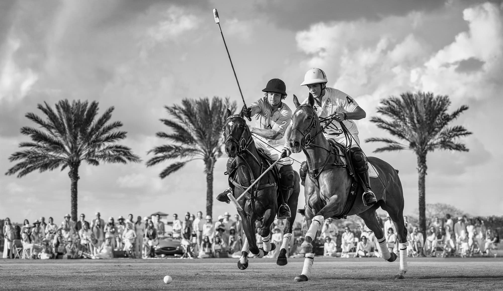 "Wellington" by David Yarrow, Wellington, Florida, 2025. Black and white photograph.