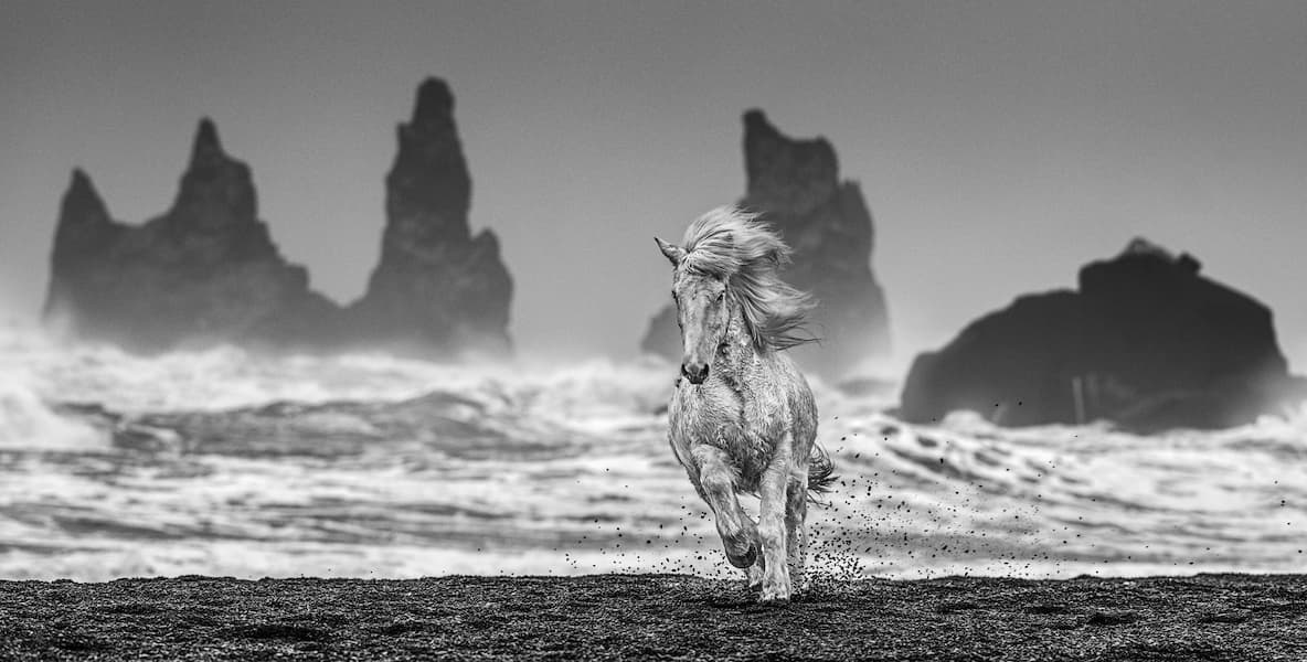 White Horses