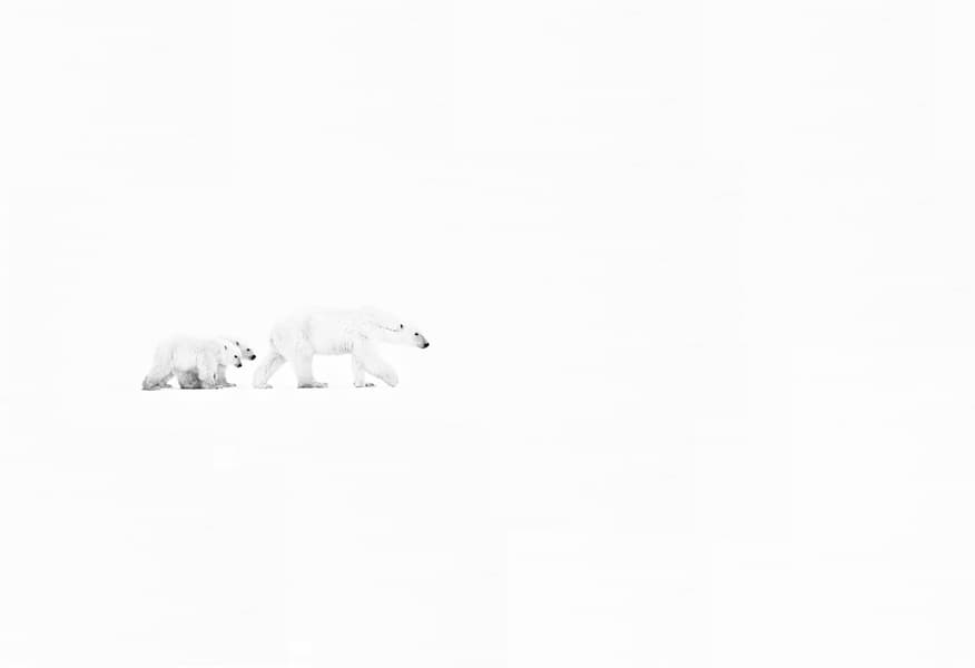 White Out