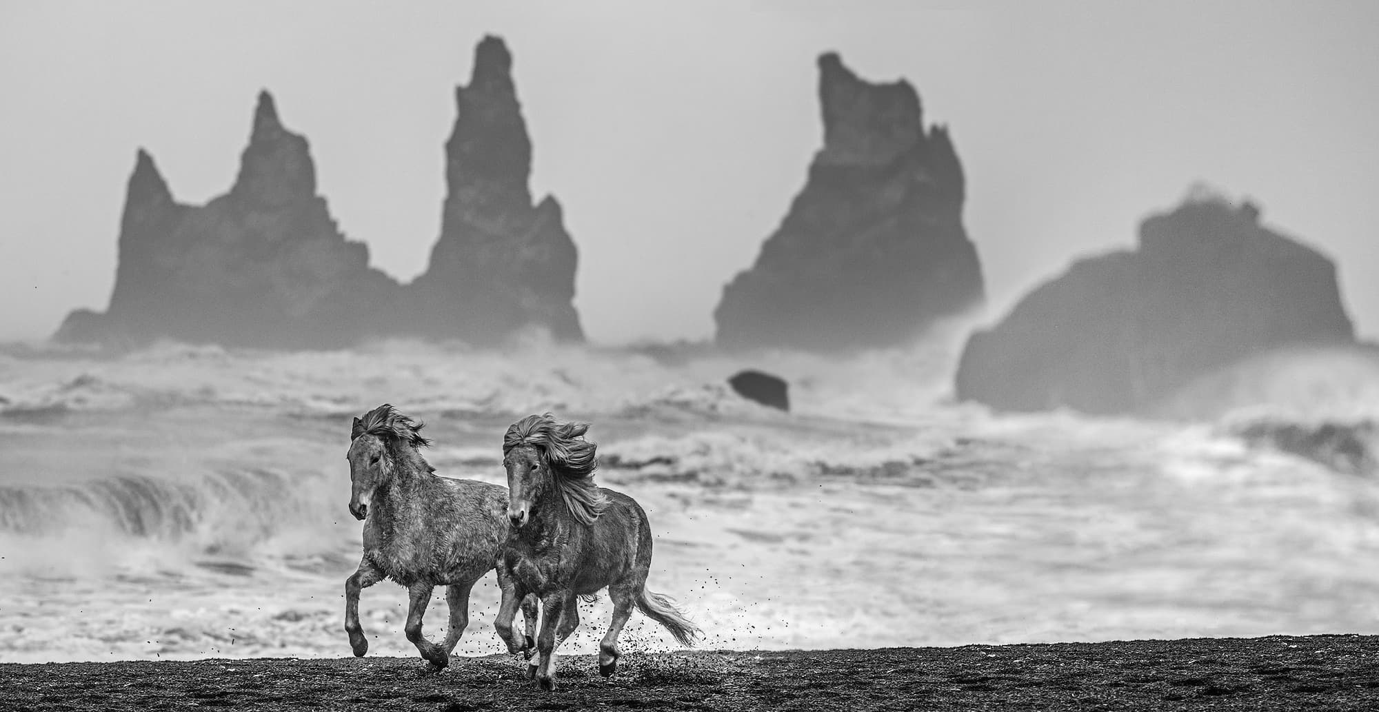 "Wild Horses" by David Yarrow. Black and white photograph.