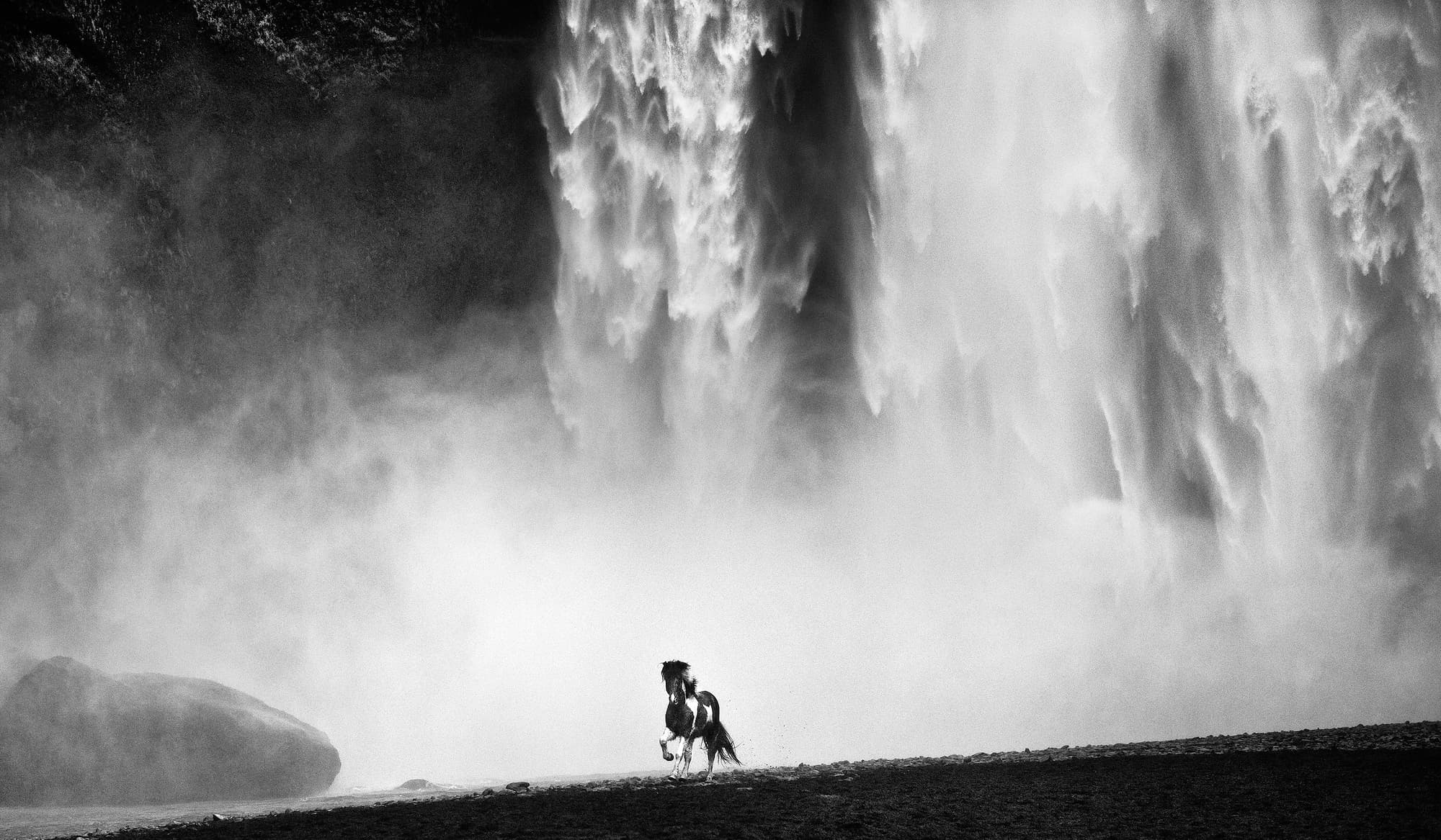 "Wild" by David Yarrow, East Iceland, Iceland. Black and white photograph.