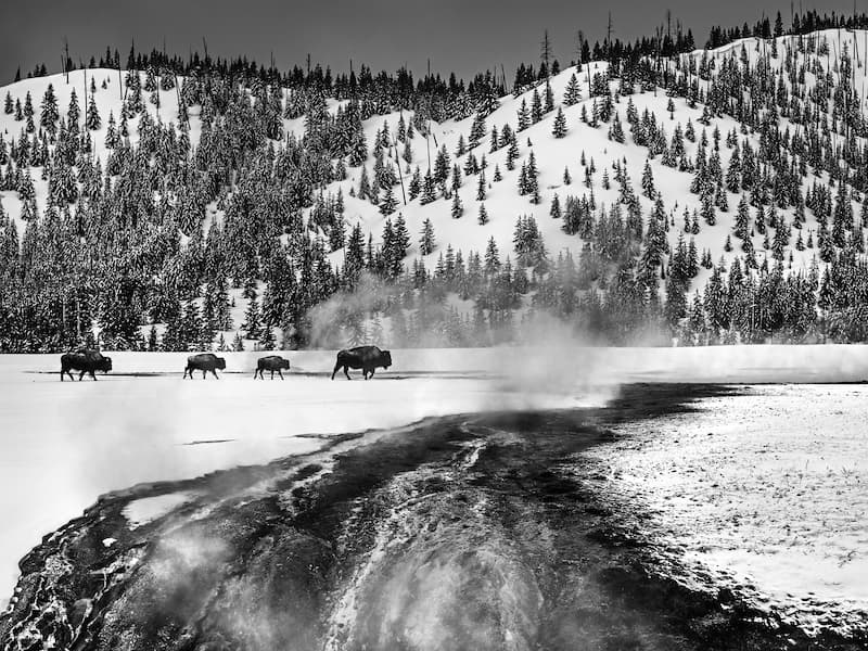 Yellowstone