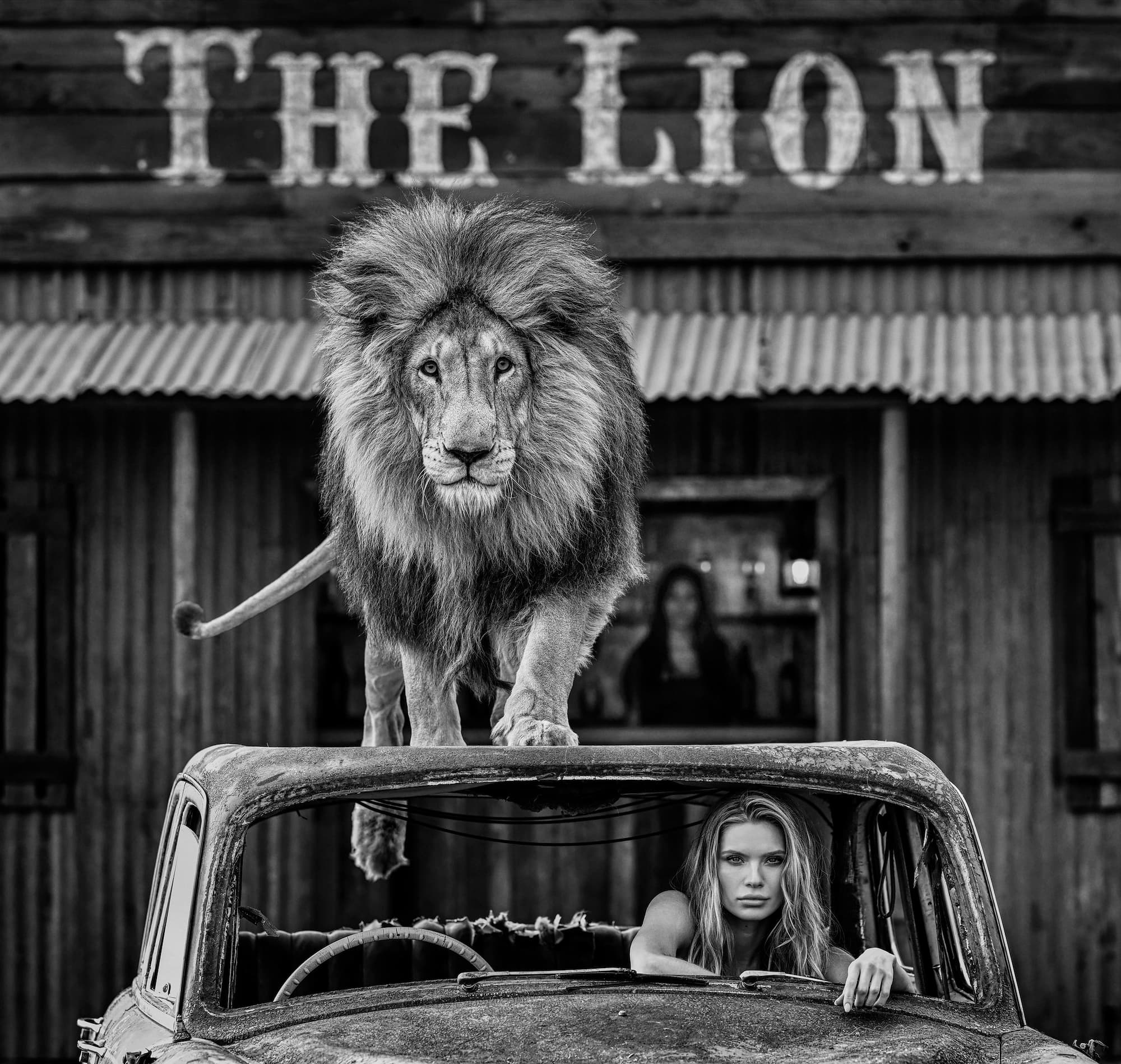 "Cat on a Hot Tin Roof" by David Yarrow, Dinokeng, South Africa, 2026. Black and white photograph.