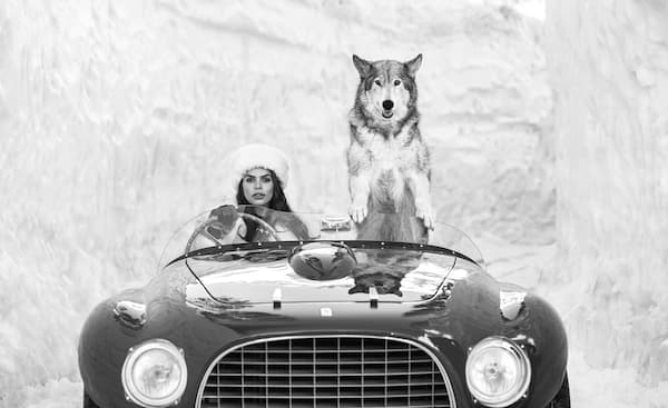Driving Home for Christmas (B&W)