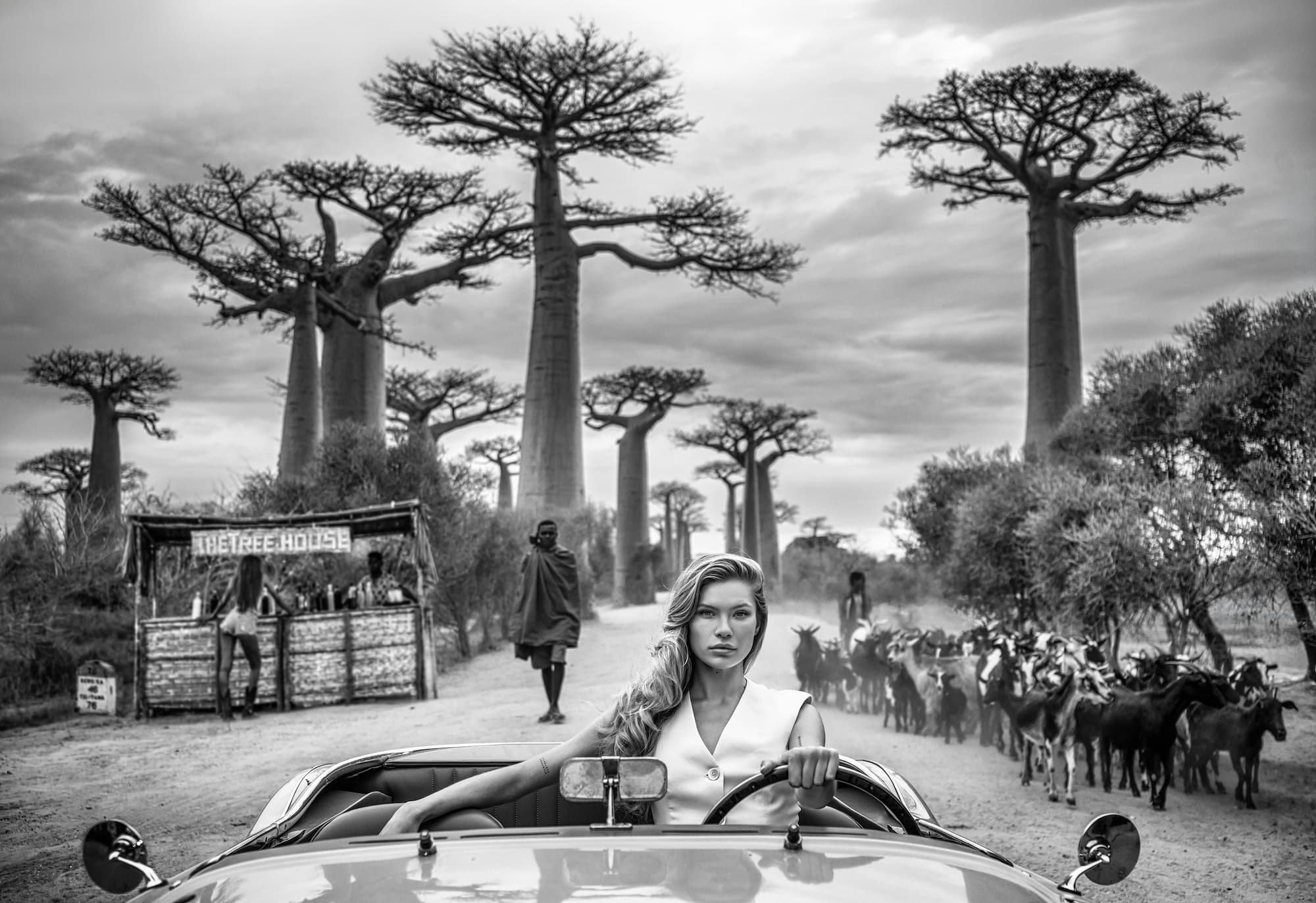 "Uptown Girl" by David Yarrow, Avenue of the Baobabs, Madagascar, 2026. Black and white photograph.