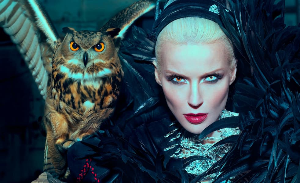 Daphne The Owl