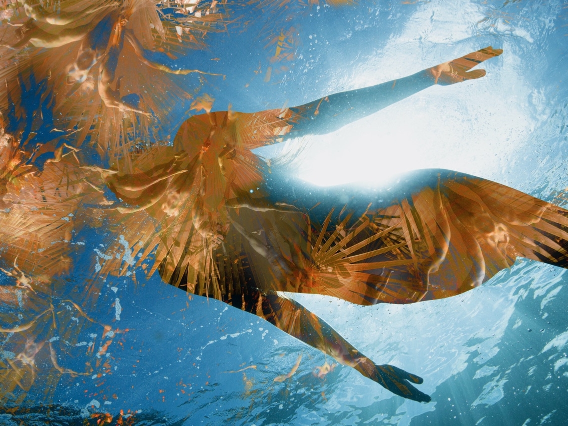 Transform, Transcend