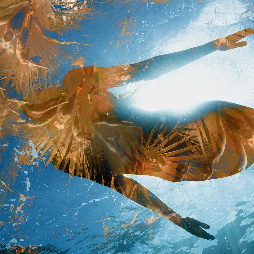 Transform, Transcend