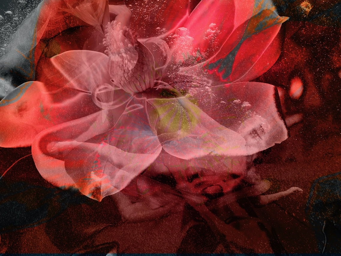 Hugh_Arnold_Vector_Hilton_Asmus_Contemporary