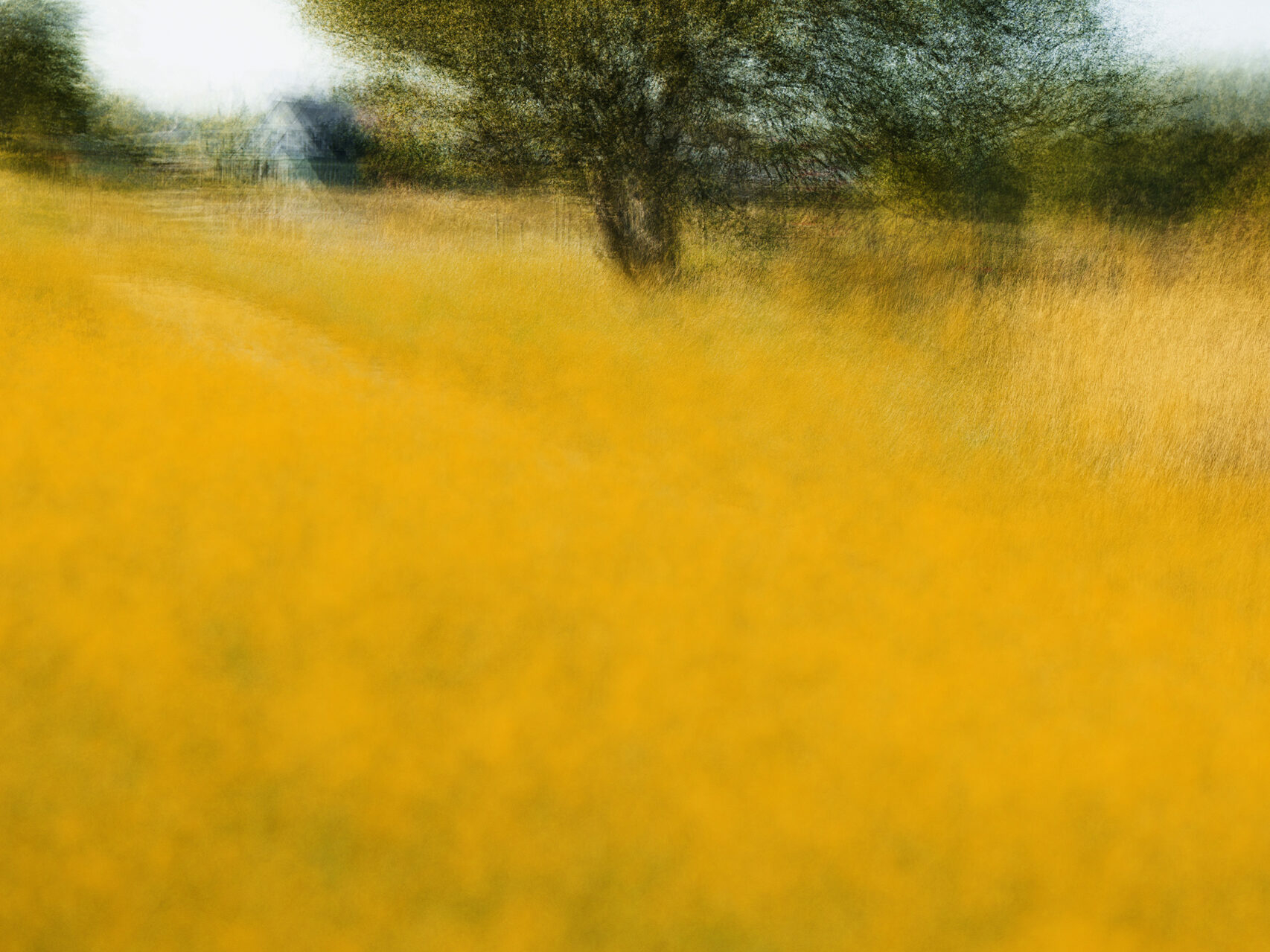 Pibemoelle #11 | Jacob Gils