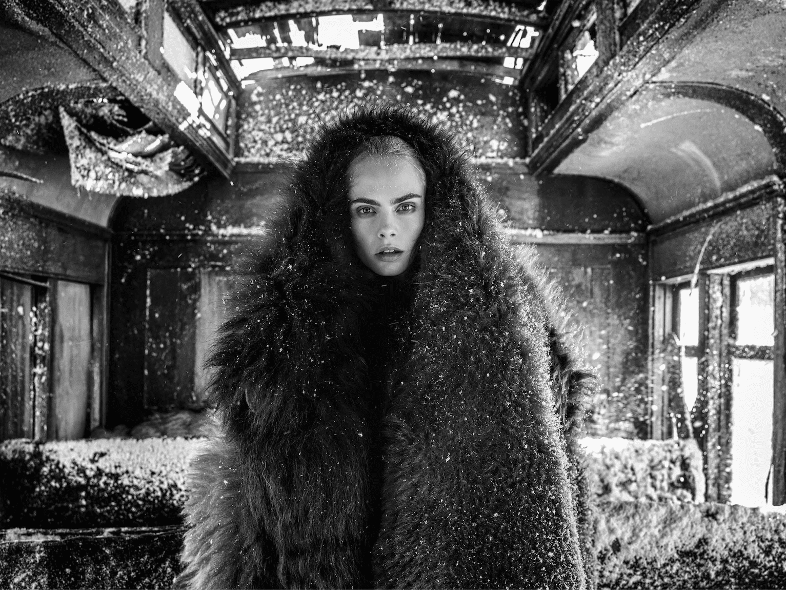 THE GIRL WITH THE LION TATTOO