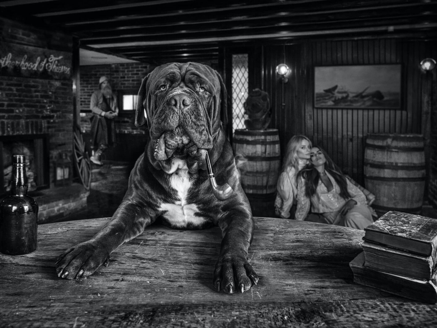 The Dogfather - David Yarrow