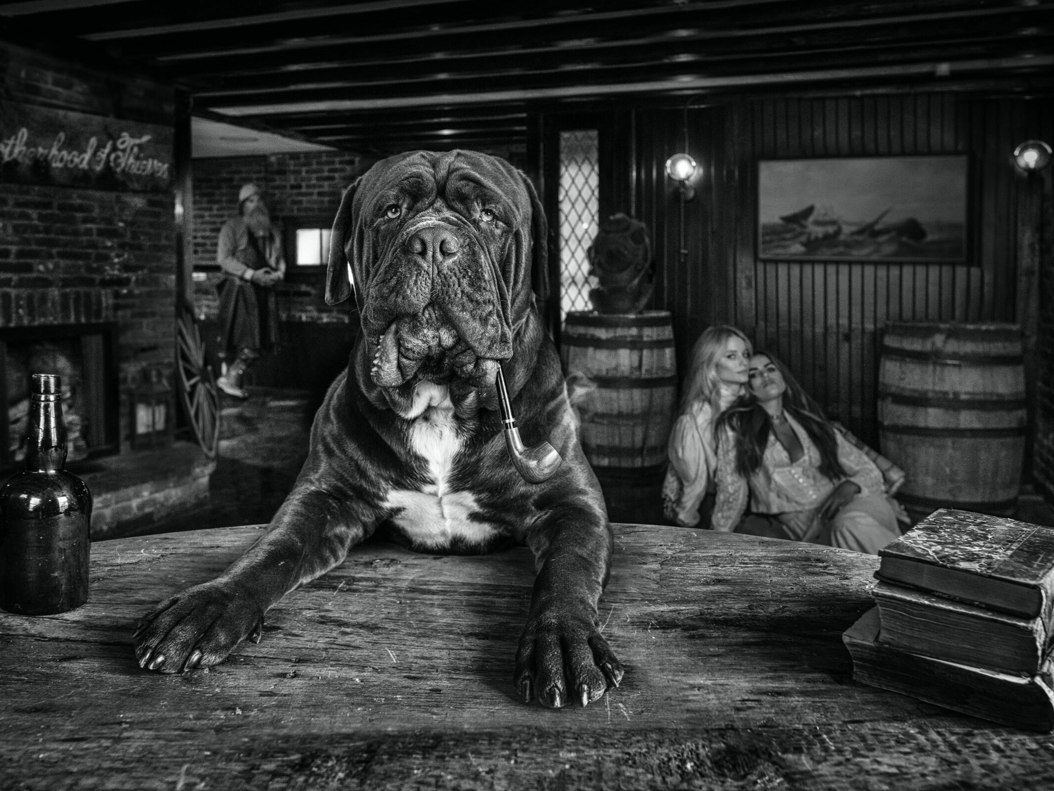 The Dogfather - David Yarrow