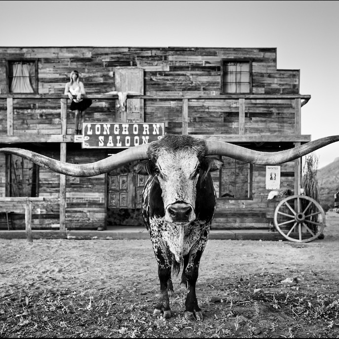 The Longhorn Saloon