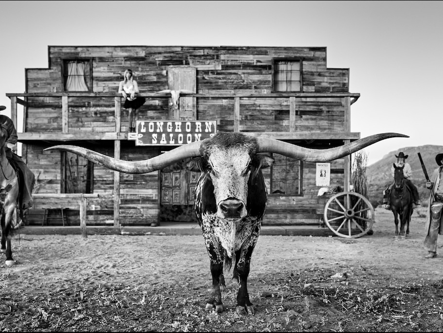 The Longhorn Saloon