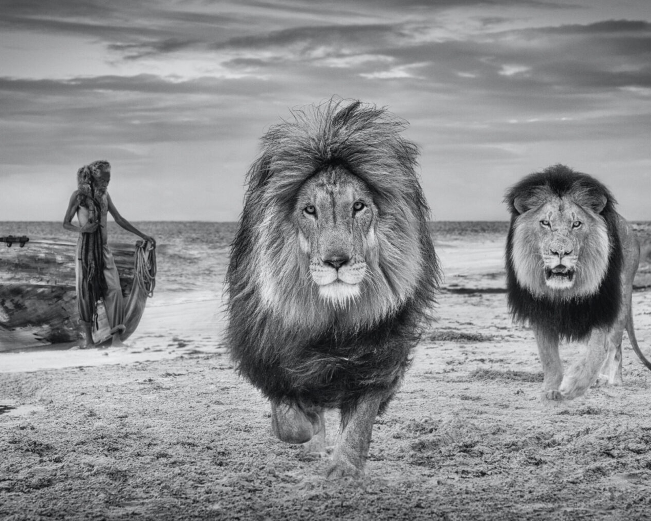 The Old Man And The Sea