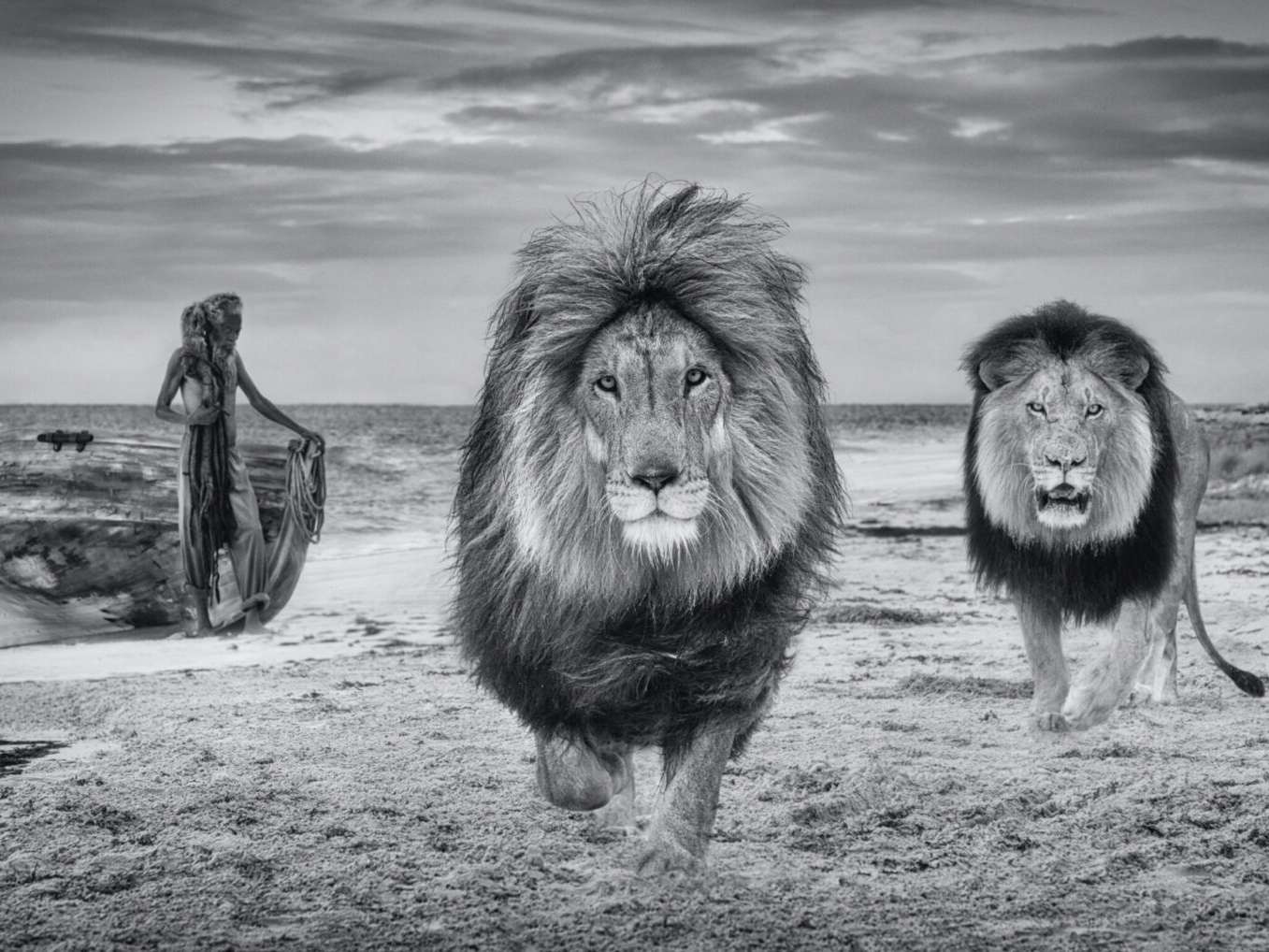 The Old Man And The Sea