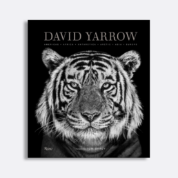 david yarrow photography