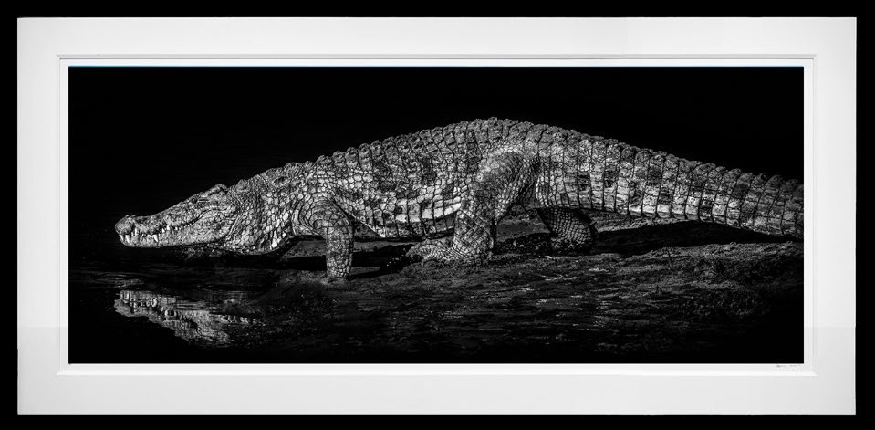 10,000 BC framed, 55” x 114” (Large)