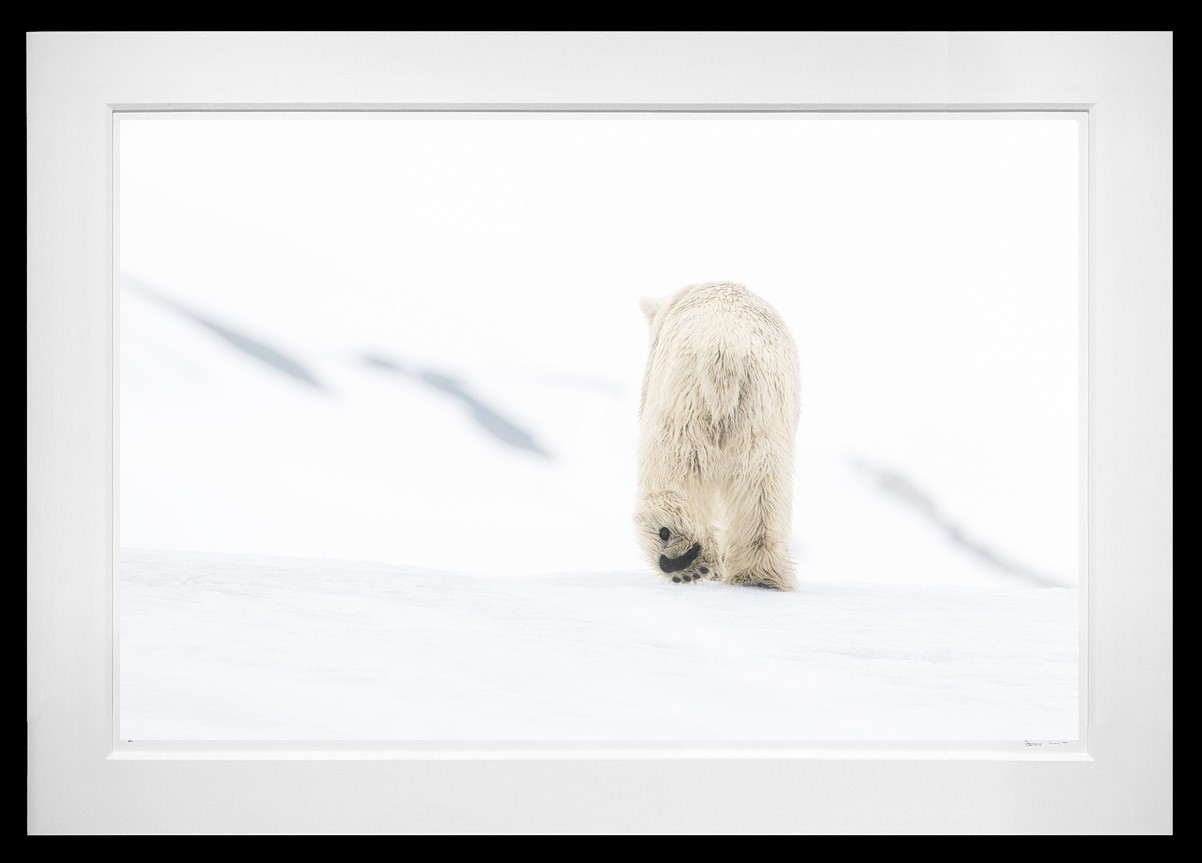 78 Degrees North (Colour) framed, 71" x 102" (Large)