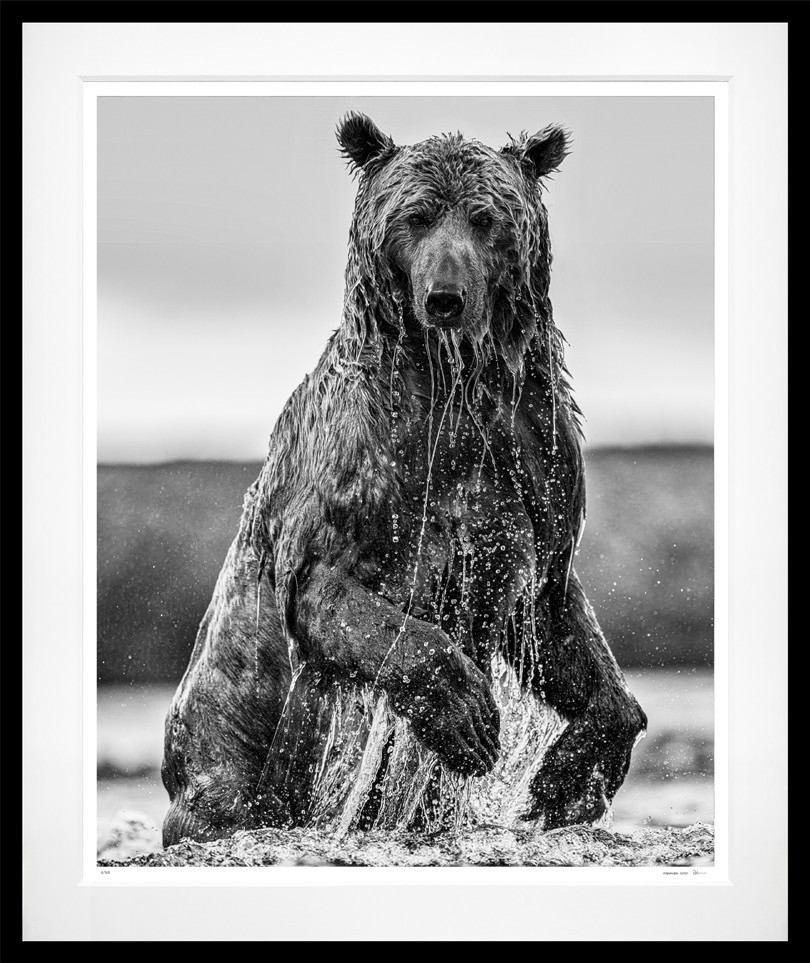 Backcountry (B&W) framed, 85" x 71" (Large)