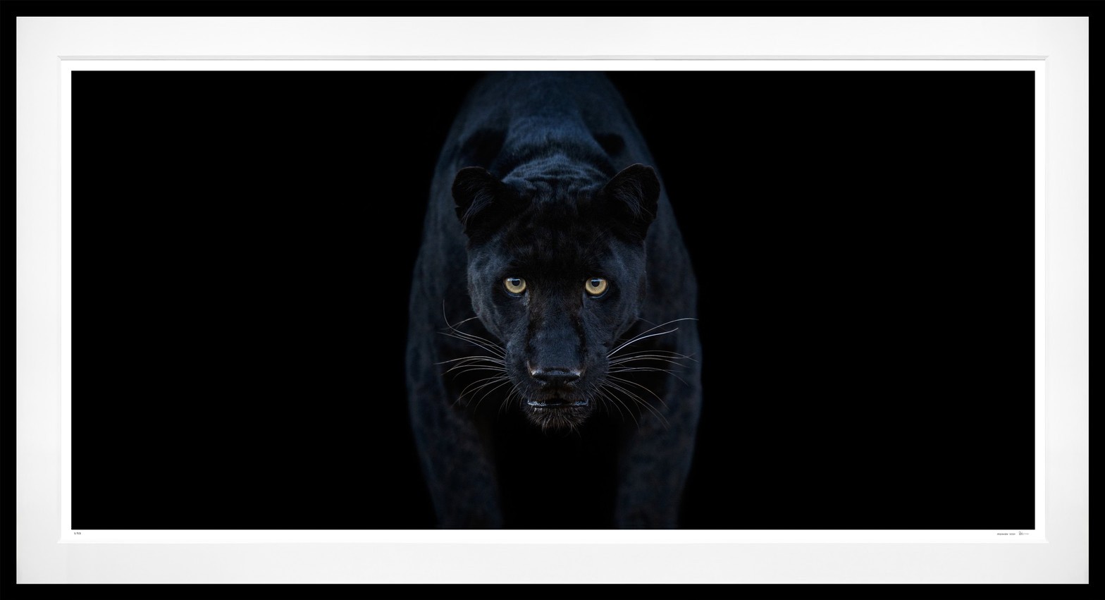 Black Magic (Colour) framed, 64" x 118" (Large)
