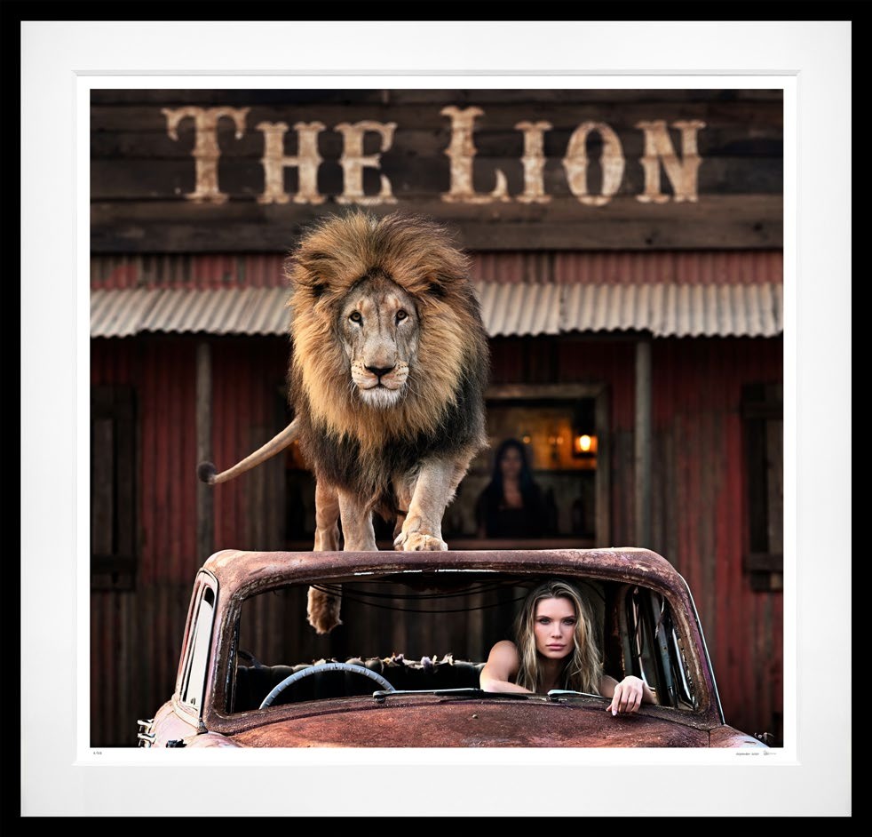 Cat on a Hot Tin Roof (Colour) framed, 71" x 74" (Large)