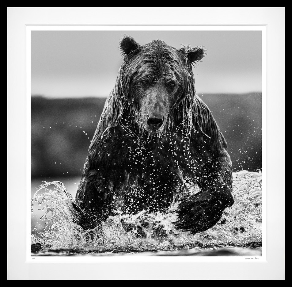 Gone Fishing (B&W) framed, 71" x 73" (Large)