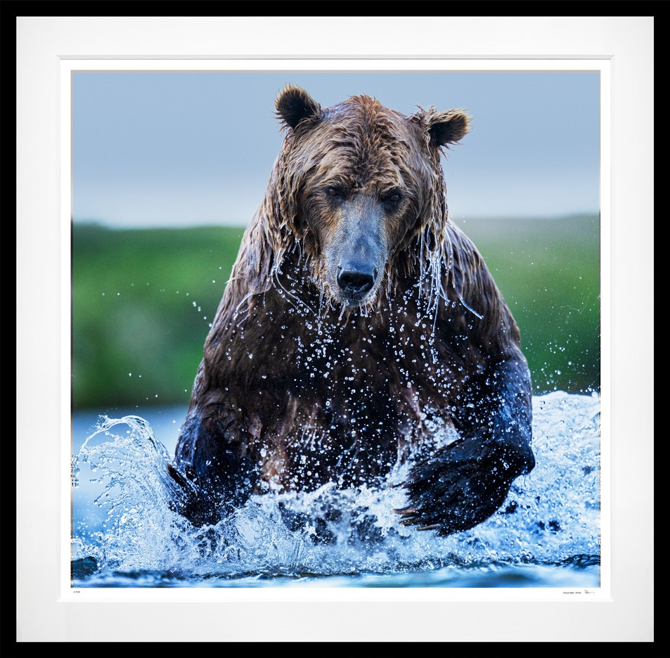 Gone Fishing (Colour) framed, 71" x 73" (Large)