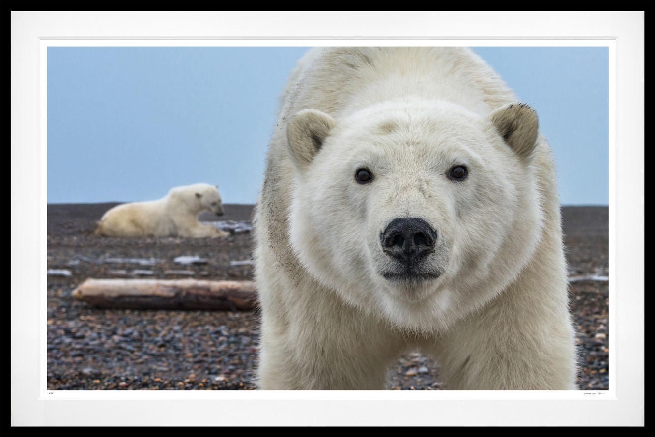 Hello (Colour) framed, 71" x 106" (Large)