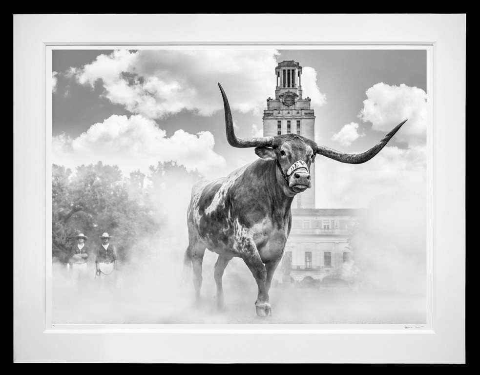 Hook ‘Em Horns (B&W) framed, 71" x 92" (Large)