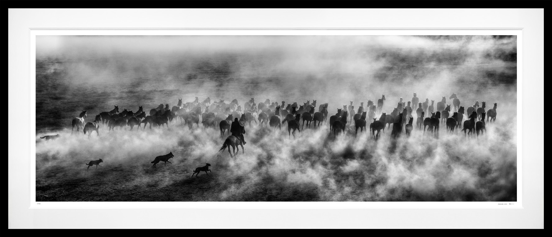 One Hundred Horses (B&W) framed, 51" x 118" (Large)