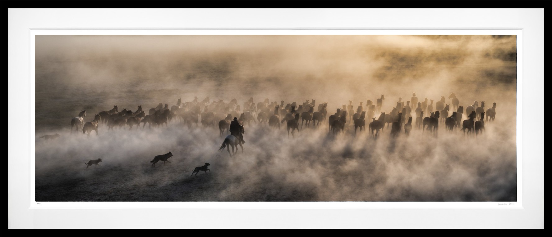 One Hundred Horses (Colour) framed, 51" x 118" (Large)