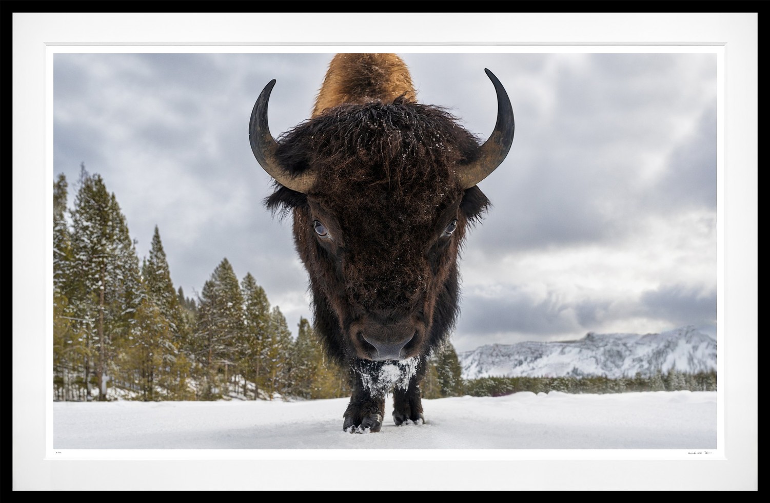 Road Rage (Colour) framed, 71" x 109" (Large)