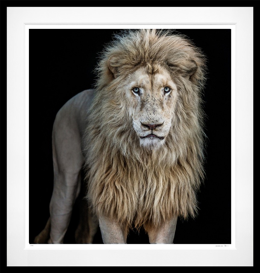 Something’s Gotta Give (Colour) framed, 75" x 71" (Large)