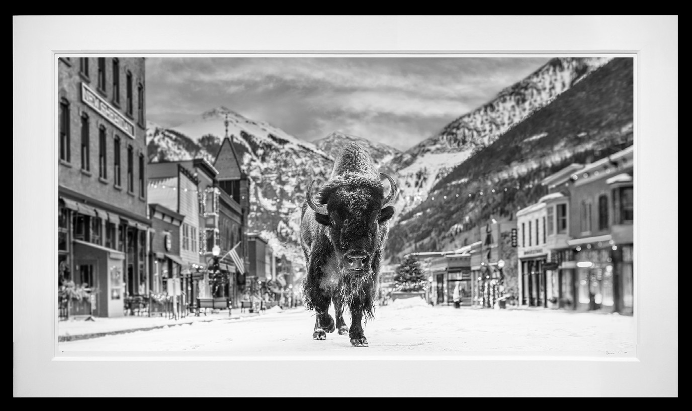 The Bison on Main II framed, 68" x 118" (Large)
