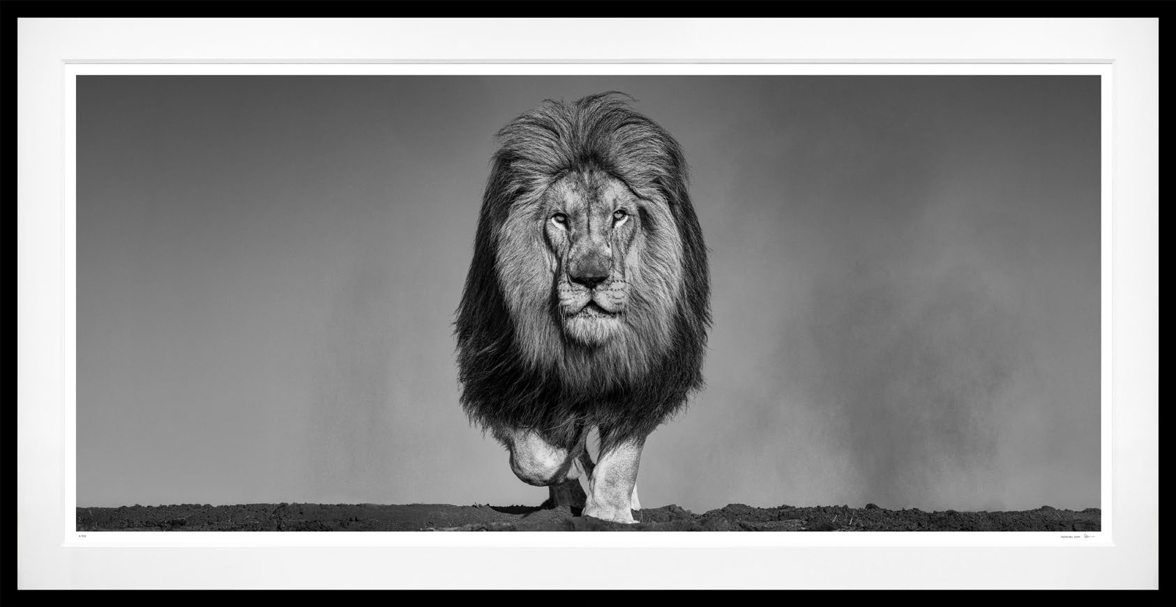 The Dust Up (B&W) framed, 61" x 117" (Large)