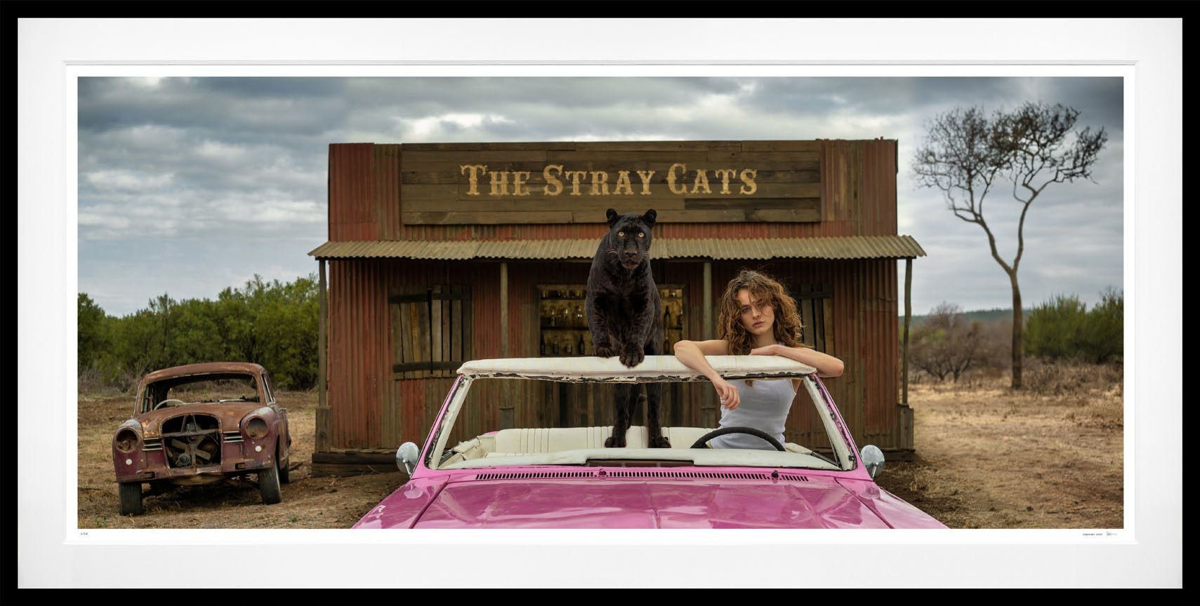 The Pink Panther (Colour) framed, 60" x 118" (Large)