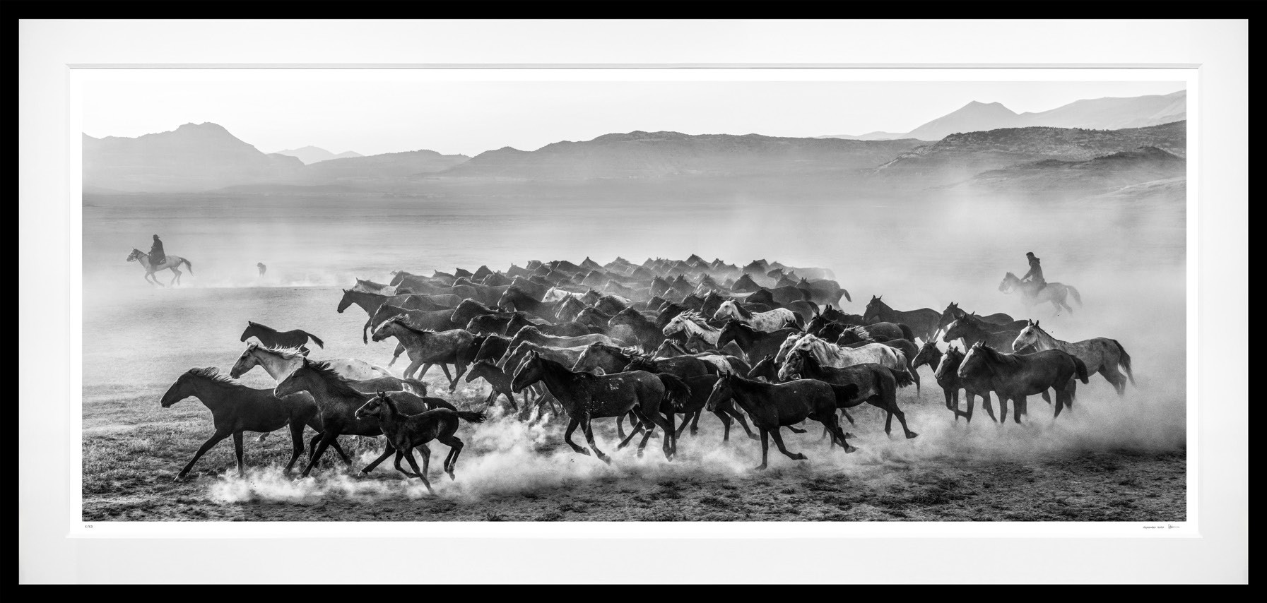 The Unit (B&W) framed, 56" x 118" (Large)